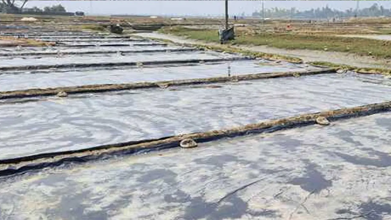 লবণ মাঠে কাজের সময় বজ্রপাতে শ্রমিকের মৃত্যু 