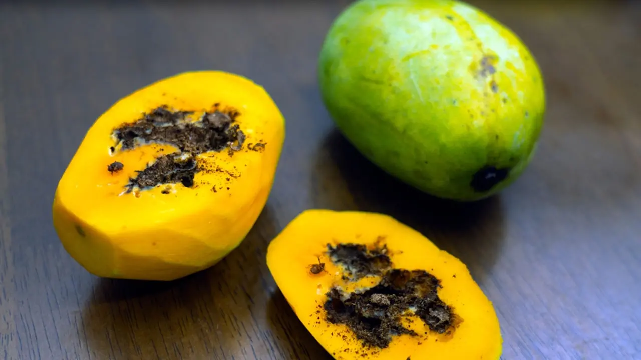 পোকা ধরা ফল খাওয়া যাবে?