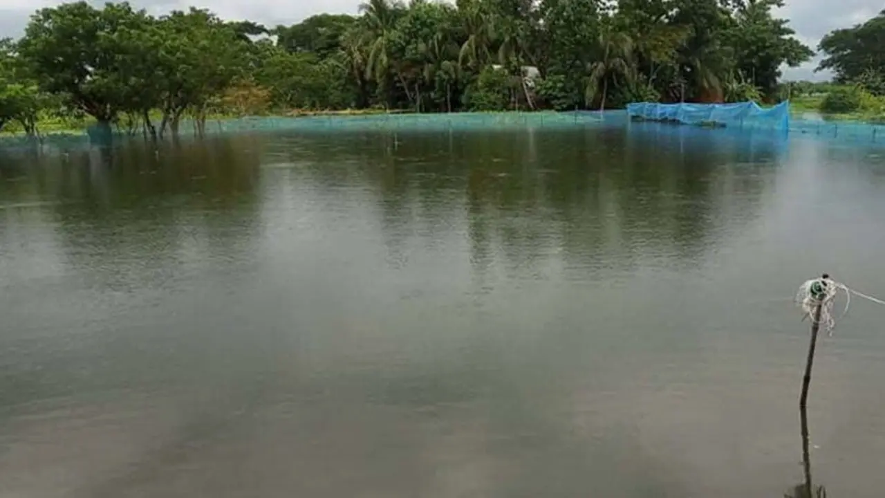 মাছের ঘেরে ভেসে উঠল দুই শিশুর মরদেহ 