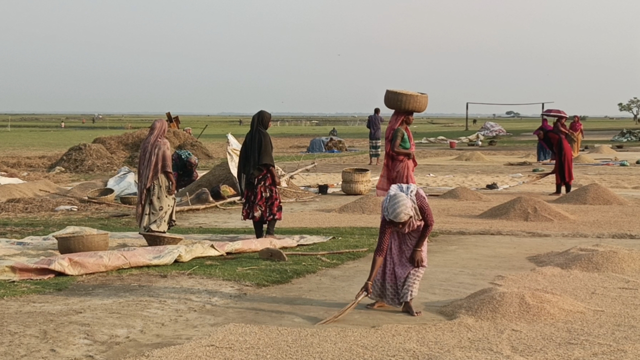 dhakapost