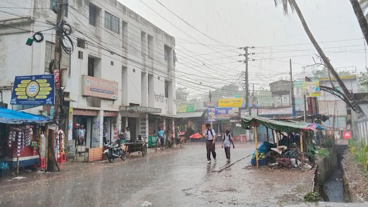 সাতক্ষীরায় বৃষ্টি, স্বস্তির সঙ্গে কৃষকের দুশ্চিন্তা