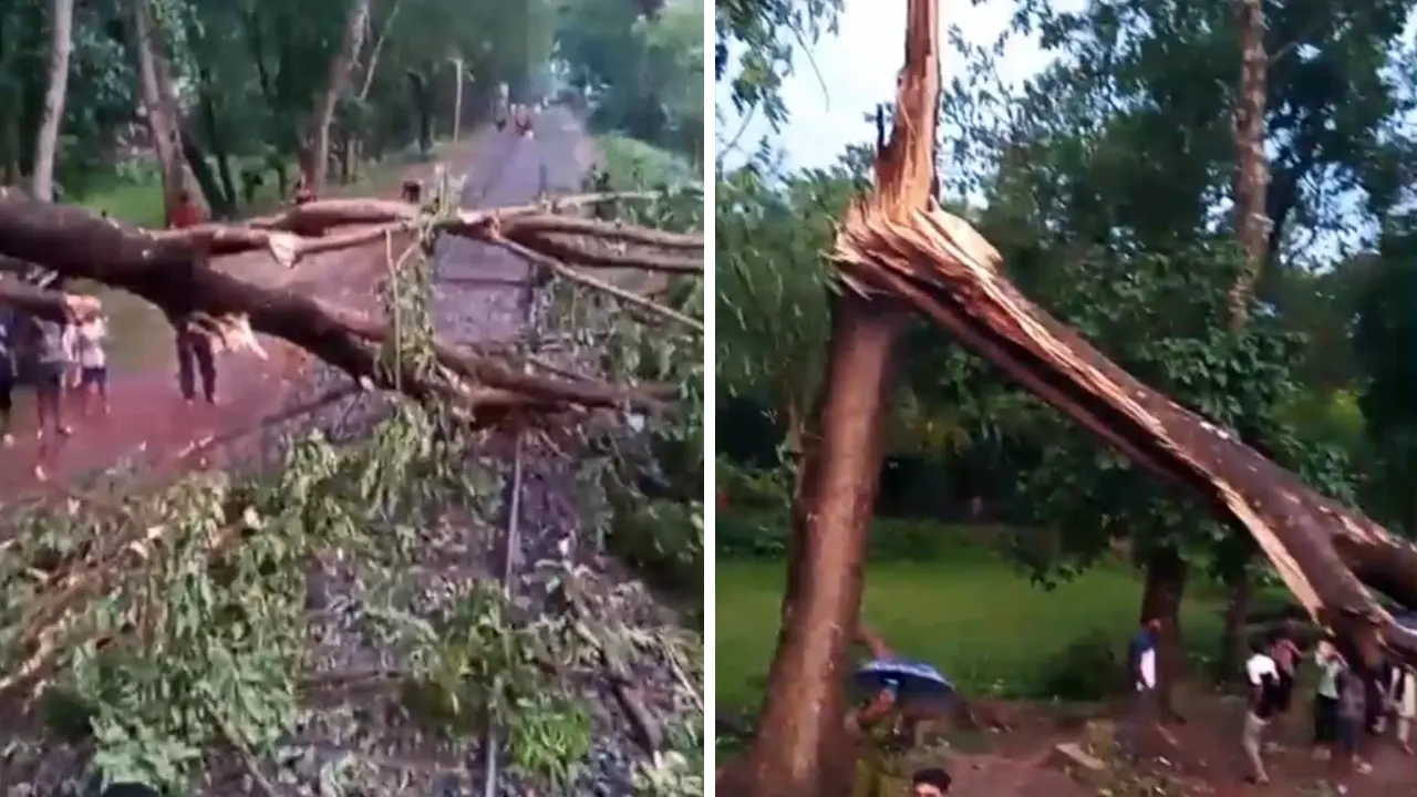 কালবৈশাখী ঝড়ে ভেঙে পড়ল গাছ, পৌনে ১ ঘণ্টা ট্রেন চলাচল বন্ধ