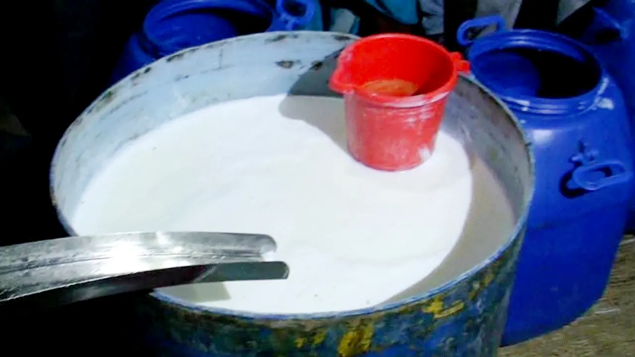‘৫০০ গ্রাম দুধে মেশানো হয় ৫০০ গ্রাম পাম অয়েল’
