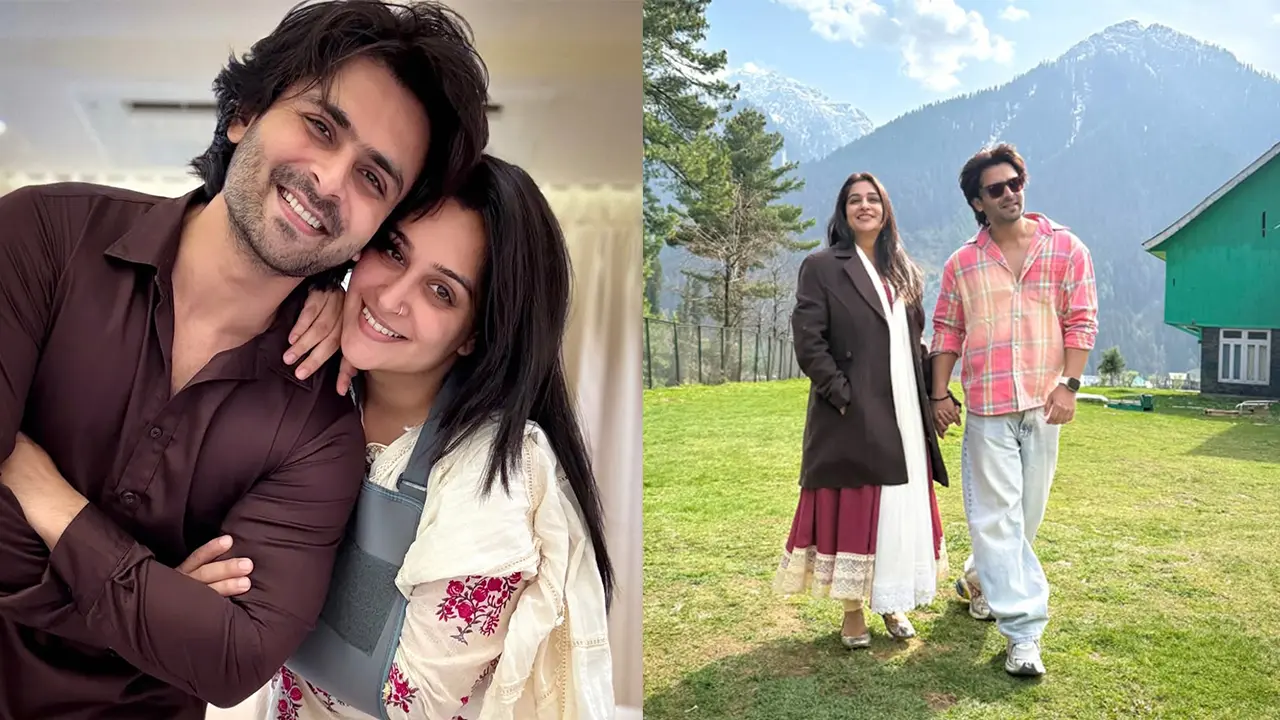 কাশ্মির থেকে ফিরে নতুন ভ্লগের ঘোষণা, তোপের মুখে তারকা দম্পতি