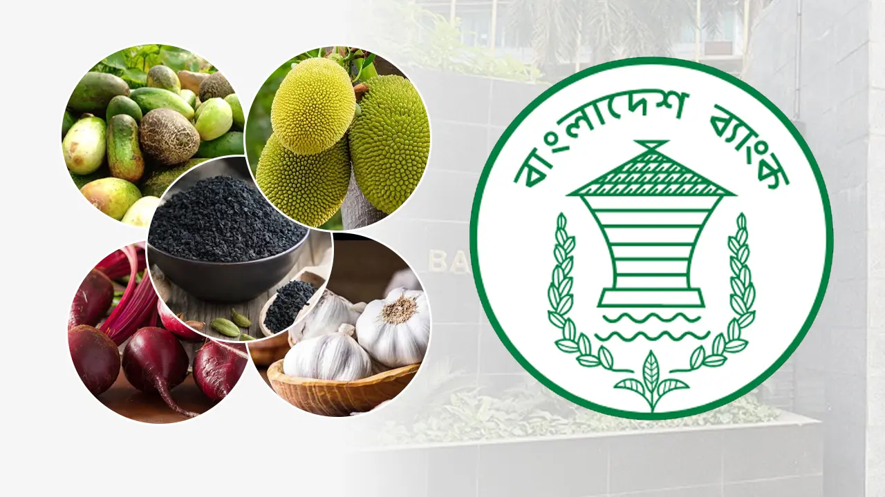কাঁঠাল-বিটরুট-কালোজিরাসহ নতুন ১০ ফসলে মিলবে কৃষিঋণ