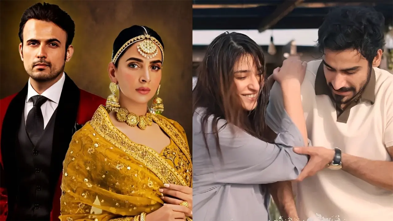 বিরিয়ানি থেকে পামাল, আলোচনায় ৫ পাকিস্তানি ড্রামা