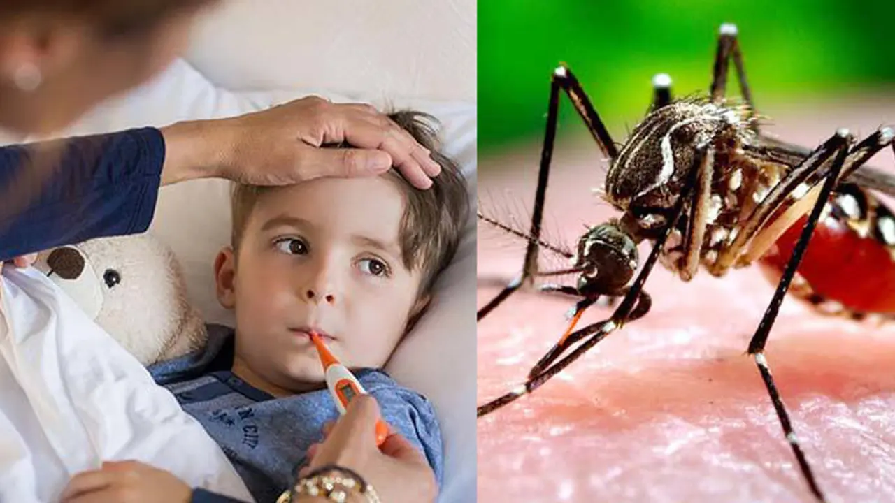 ডেঙ্গু না ভাইরাল জ্বর হয়েছে, বুঝবেন কীভাবে?