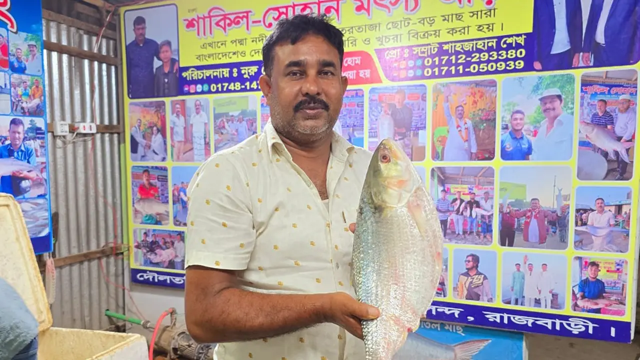 রাজবাড়ীতে আড়াই কেজির ইলিশ সাড়ে ১৪ হাজারে বিক্রি