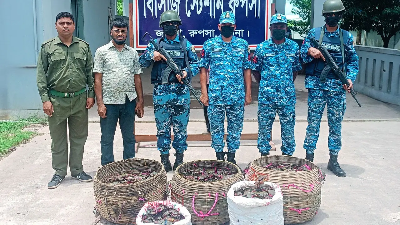 খুলনায় ২৫০ কেজি অবৈধ কাঁকড়া জব্দ 