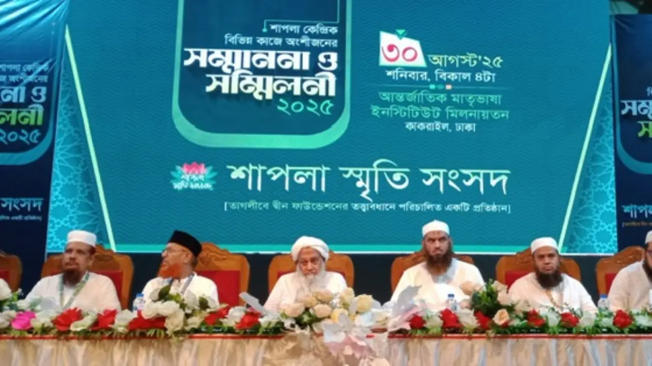 শাপলার চেতনা আগামীর বাংলাদেশের মাইলফলক : মামুনুল হক