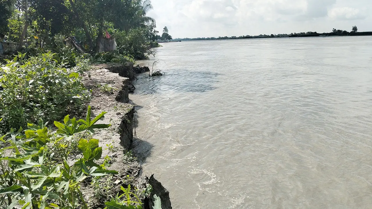 মুন্সীগঞ্জে পদ্মার ভাঙনে দিশাহারা মানুষ