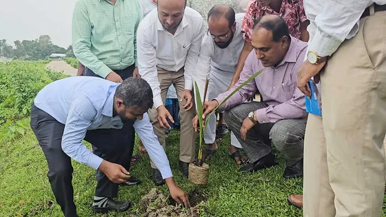বজ্রপাতে মৃত্যুর হার কমাতে হাওরে ৫০০ তালগাছ রোপণ