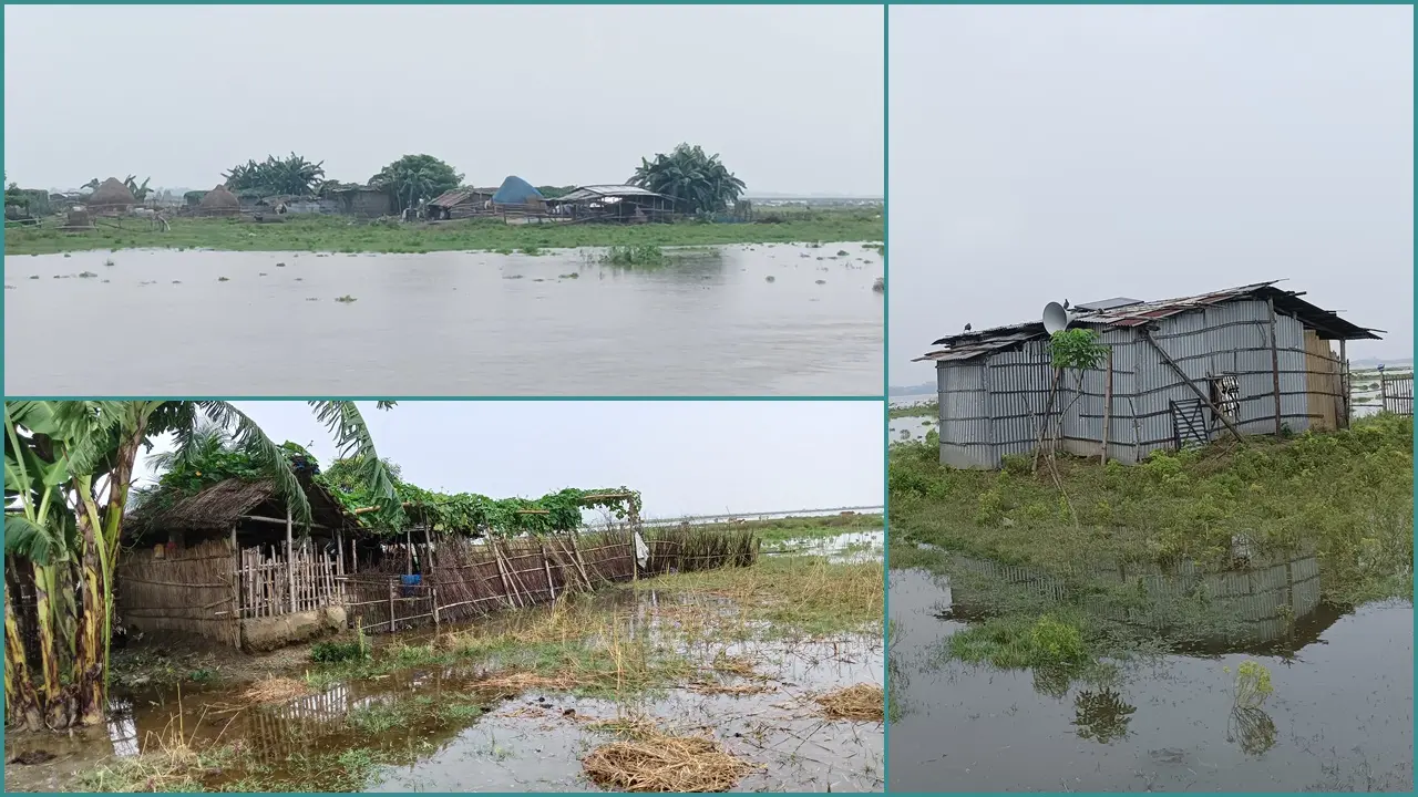 বিপৎসীমার কাছাকাছি পদ্মার পানি, ডুবেছে চর