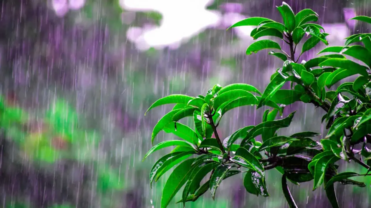 ঢাকার আকাশ থাকবে মেঘলা, হালকা বৃষ্টির আভাস