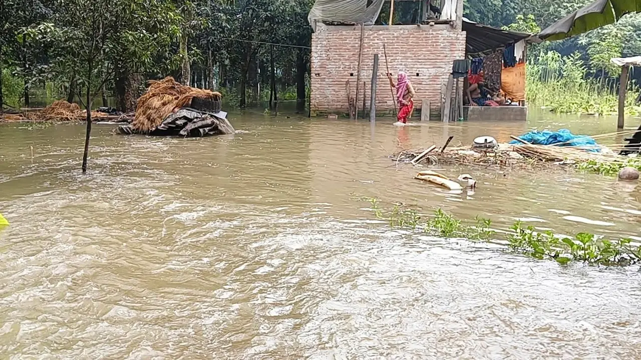 বৃষ্টি ও উজানের পানিতে ডুবল সাতক্ষীরার তালা, পানিবন্দি ৫ হাজার মানুষ