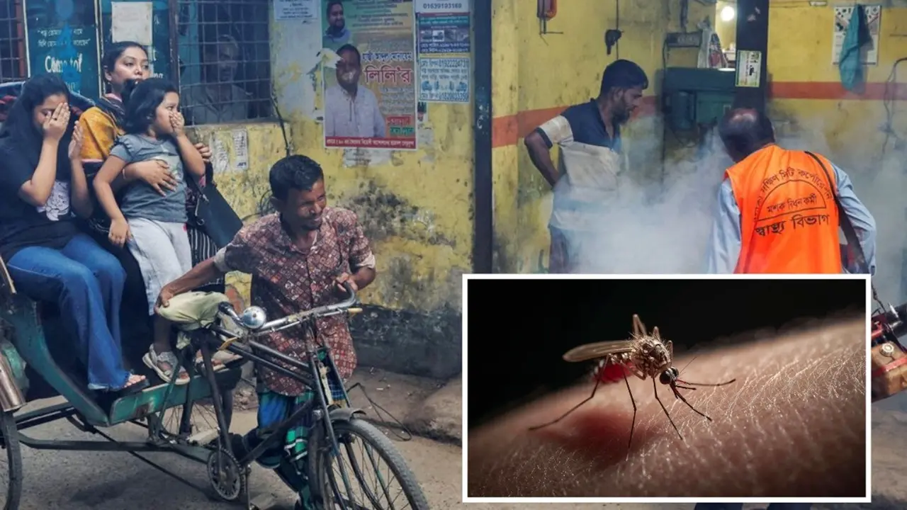ডেঙ্গুতে দুজনের মৃত্যু, হাসপাতালে ভর্তি ৫৬৫