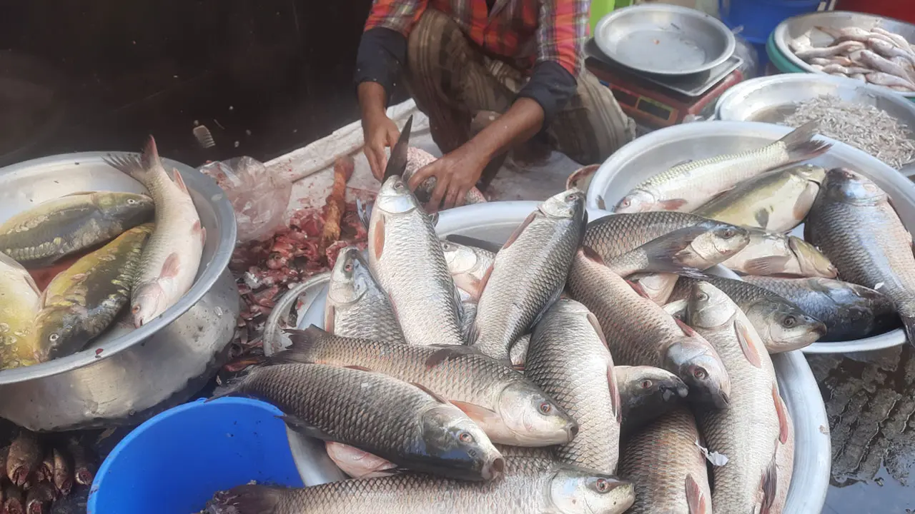 কিছুতেই কমে না মাছের দাম