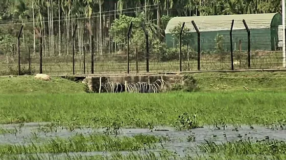 হাদির ওপর হামলাকারীরা ময়মনসিংহের সীমান্ত পথে পালানোর গুঞ্জন