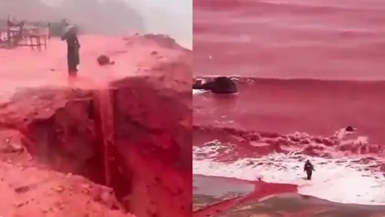 বৃষ্টির পর রক্তের মতো লাল আকার ধারণ করল মাটি (ভিডিও)