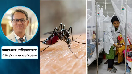 শীতেও ডেঙ্গু কেন : পরিস্থিতির বৈজ্ঞানিক বিশ্লেষণ
