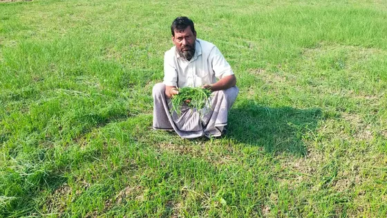 ‘সকালে মাঠে গিয়ে দেখি সব শেষ’