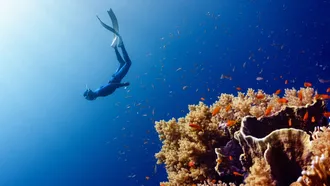 Exclusive Experiences Await in Saudi’s Red Sea Paradise