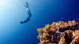 Exclusive Experiences Await in Saudi’s Red Sea Paradise