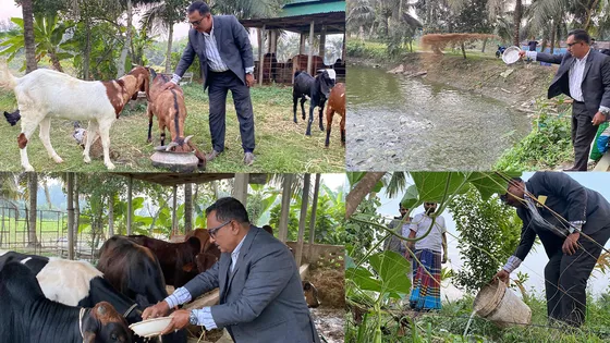 শিক্ষক থেকে সফল কৃষি উদ্যোক্তা, মাসে আয় লাখ টাকা