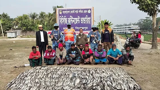 পিরোজপুরে কোস্টগার্ডের অভিযানে ৪৯১টি হাঙ্গর জব্দ