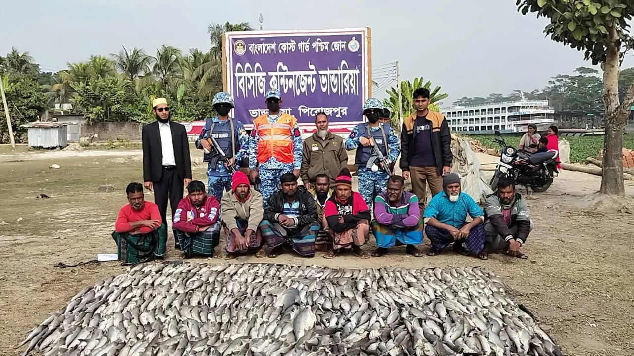 পিরোজপুরে কোস্টগার্ডের অভিযানে ৪৯১টি হাঙ্গর জব্দ