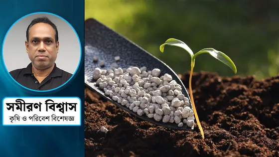 সার ব্যবস্থাপনায় করণীয় কী?