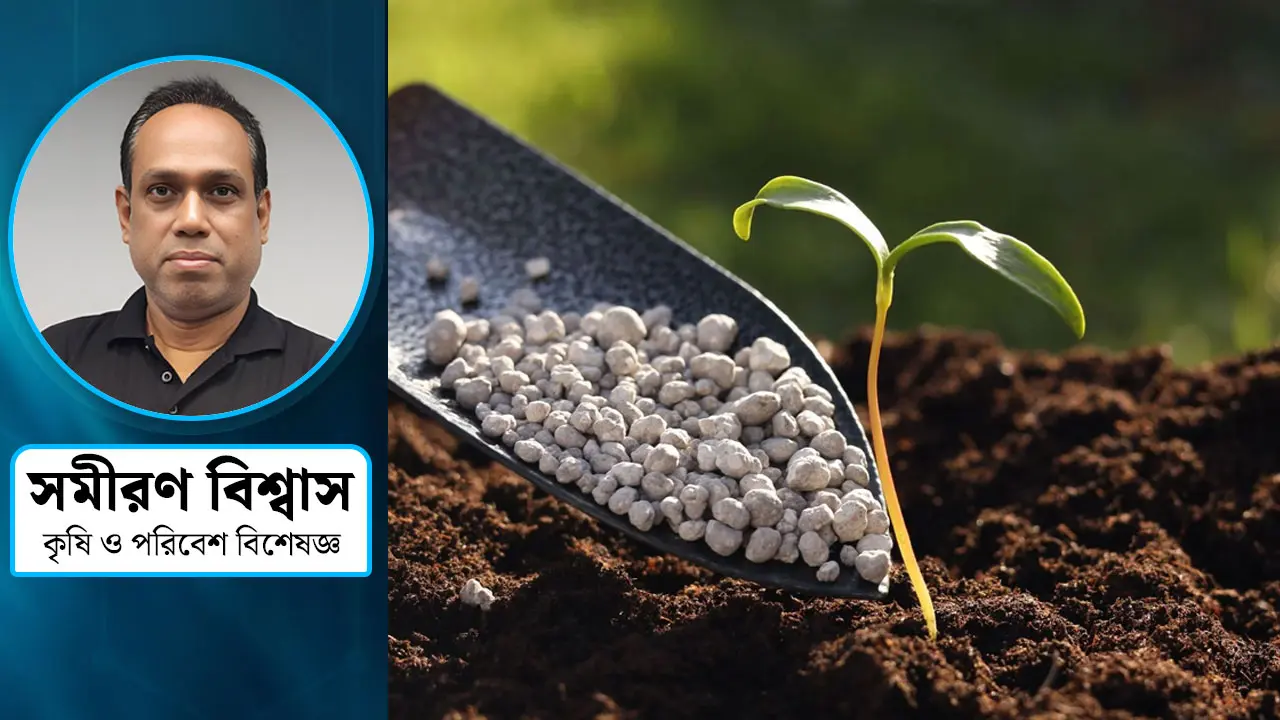 সার ব্যবস্থাপনায় করণীয় কী?