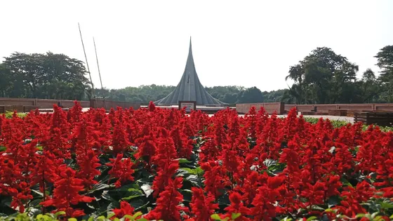 বিজয় দিবস উদযাপনে প্রস্তুত জাতীয় স্মৃতিসৌধ, থাকবে ৪ স্তরের নিরাপত্তা