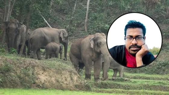 ভিডিও করতে গিয়ে বন্যহাতির পায়ে পিষ্ট হয়ে কনটেন্ট ক্রিয়েটরের মৃত্যু