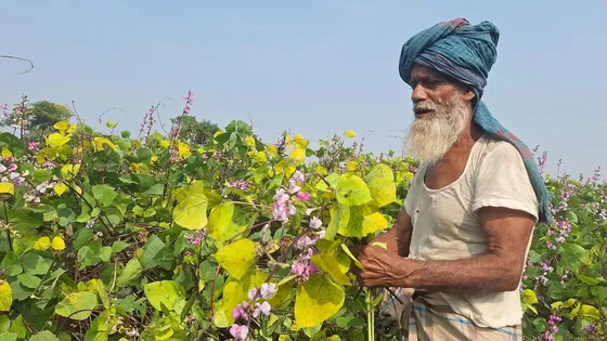‘গ্রামে লাখ টাকা করে একেক জন কৃষক দেনা, এখন মরণ ছাড়া উপায় নেই’