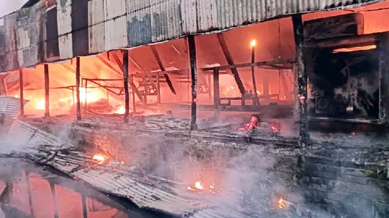 সিরাজগঞ্জে পৃথক অগ্নিকাণ্ডে পাঁচ গরু ও শাড়ি কারখানা পুড়ে ছাই