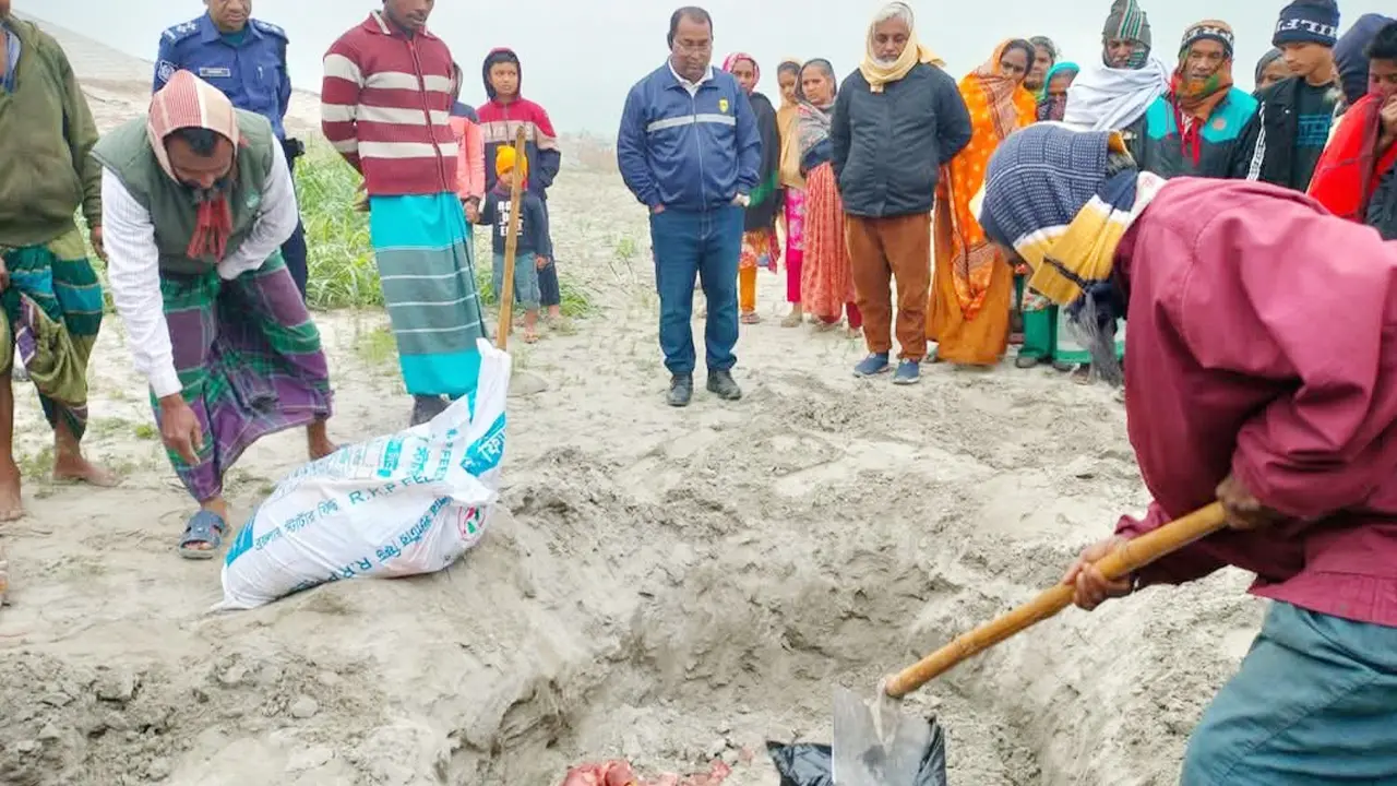 গোপনে ঘোড়ার মাংস ঢাকায় পাঠানোর চেষ্টা, দুইজনকে জরিমানা