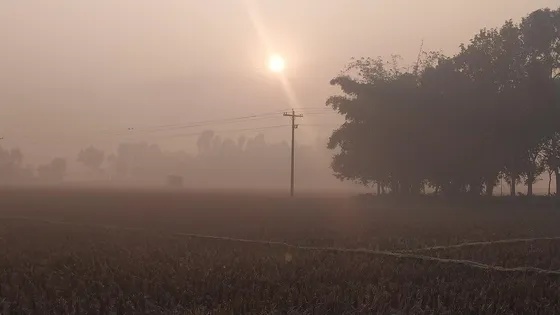 মৃদু শৈত্যপ্রবাহে কাঁপছে পঞ্চগড়