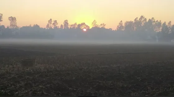 ঝলমলে রোদেও তাপমাত্রা ৯ ডিগ্রিতে