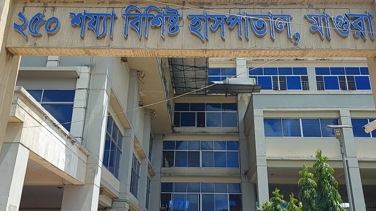 মাগুরায় পৃথক সড়ক দুর্ঘটনায় দুজন নিহত