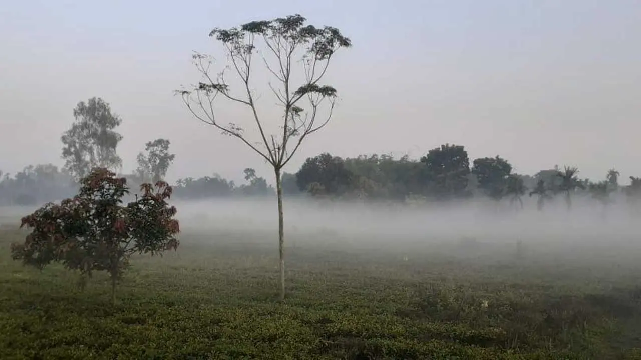 কুয়াশা থাকছে, বাড়তে পারে রাত-দিনের তাপমাত্রা