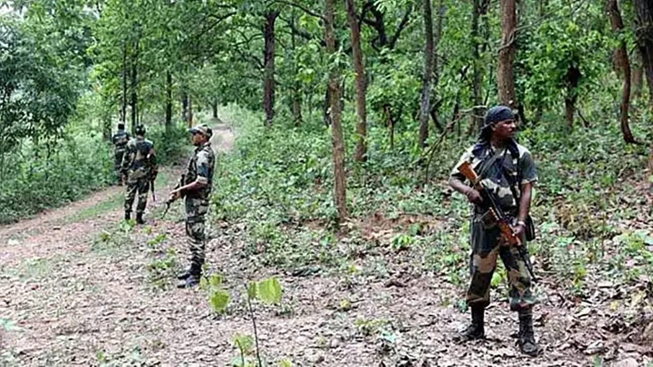 ভারতে জঙ্গলে ব্যাপক বন্দুকযুদ্ধ, ২ জওয়ানসহ নিহত ৩৩