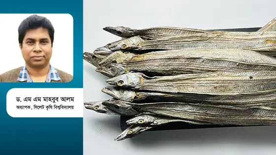 শুঁটকি মাছের অর্থনৈতিক গুরুত্ব