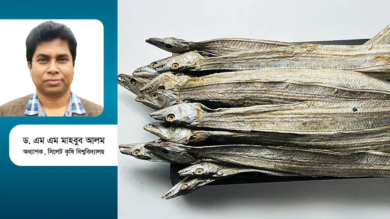 শুঁটকি মাছের অর্থনৈতিক গুরুত্ব
