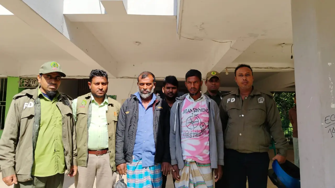 রাতের আঁধারে বনের গাছ কাটতে গিয়ে আটক, দুজন কারাগারে