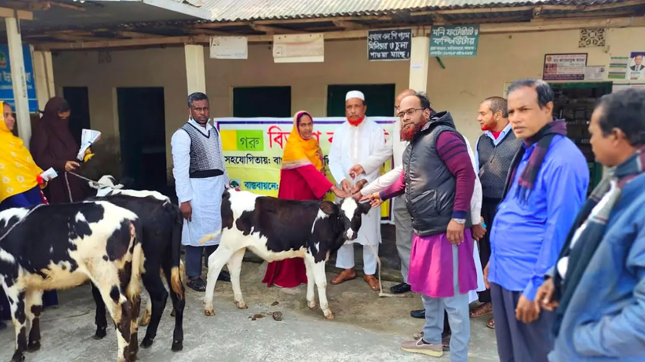বাছুর দেওয়ার কথা বলে ফটোসেশন করে হাতে খিচুড়ি ধরিয়ে দিল এনজিও