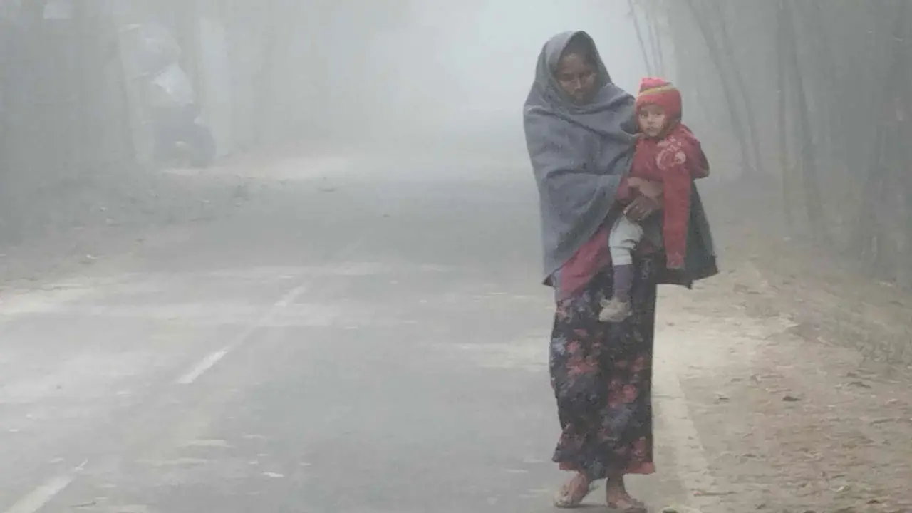 দুই জেলায় বইছে শৈত্যপ্রবাহ