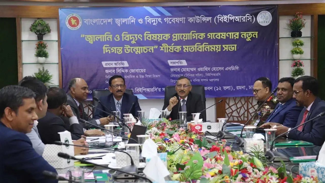 বিদ্যুৎ ও জ্বালানি খাতে প্রাকৃতিক সম্পদ ব্যবহার নিশ্চিত করতে হবে