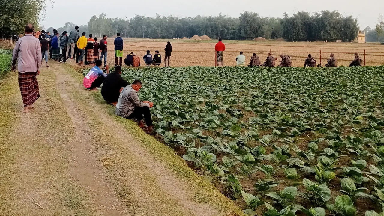 দহগ্রাম সীমান্তে বিএসএফের কাঁটাতারের বেড়া নির্মাণে বিজিবির বাধা