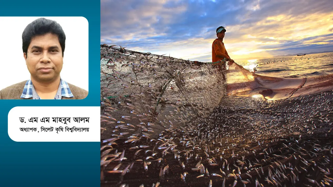 মৎস্যসম্পদ উন্নয়নে করণীয় কী?